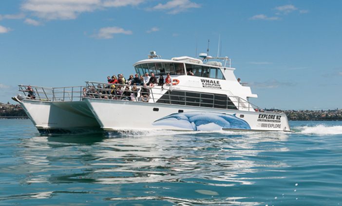 Explore-Tauranga-cruises-with-KING-Rentalcars.jpg