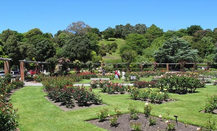 Visit-Wellington-Botanical-Gardens-with-KING-Rentalcars.jpg