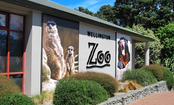 Visit-Wellington-Zoo-with-KING-Rentalcars.jpg