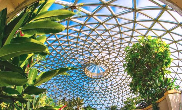 Visit-Brisbane-Botanic-Gardens-with-KING-Rentalcars.jpg