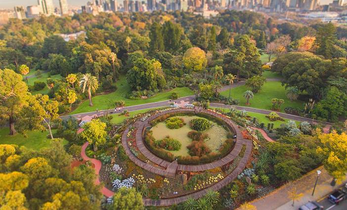 Visit-Melbourne-Royal-Botanic-Gardens-with-KING-Rentalcars.jpg